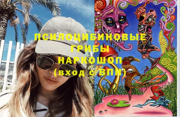 бошки Бронницы